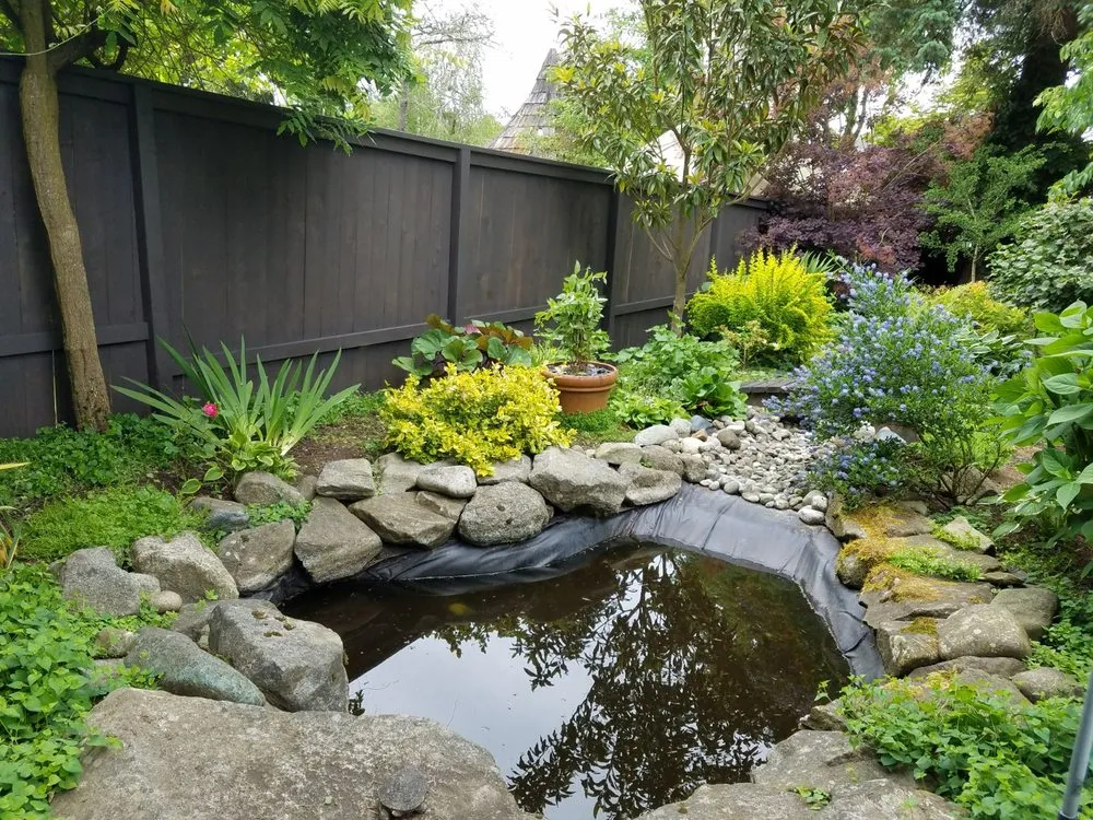 Local lawn care service in Seattle, WA by Danny Gaines Landscape and Construction