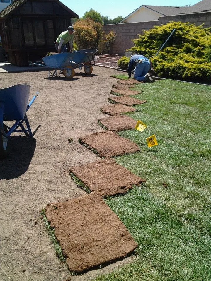 Trusted yard maintenance experts serving Orcutt, CA - Danny George Landscape Contractor