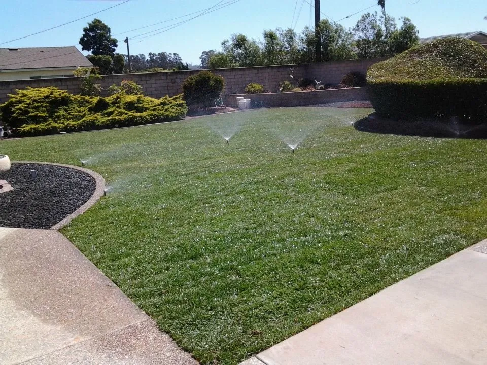 Custom landscape design with custom design in Orcutt, CA by Danny George Landscape Contractor