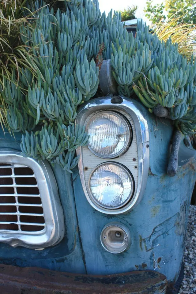 Affordable outdoor landscaping for beautiful yards in Orcutt, CA by Danny George Landscape Contractor