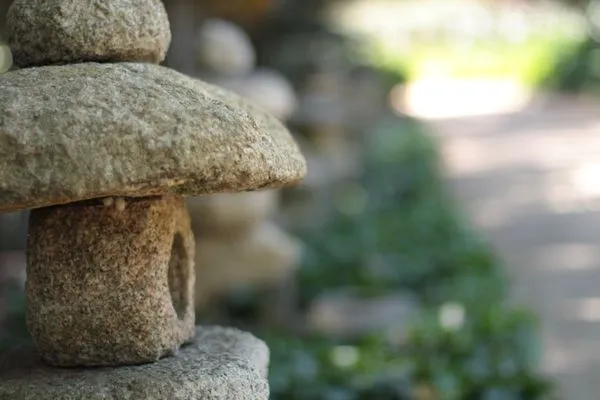 Danny George Landscape Contractor