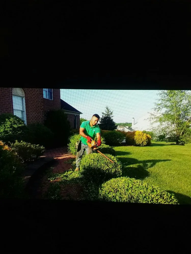 Top-rated outdoor landscaping experts serving Hackettstown, NJ - Danny International Tree Service