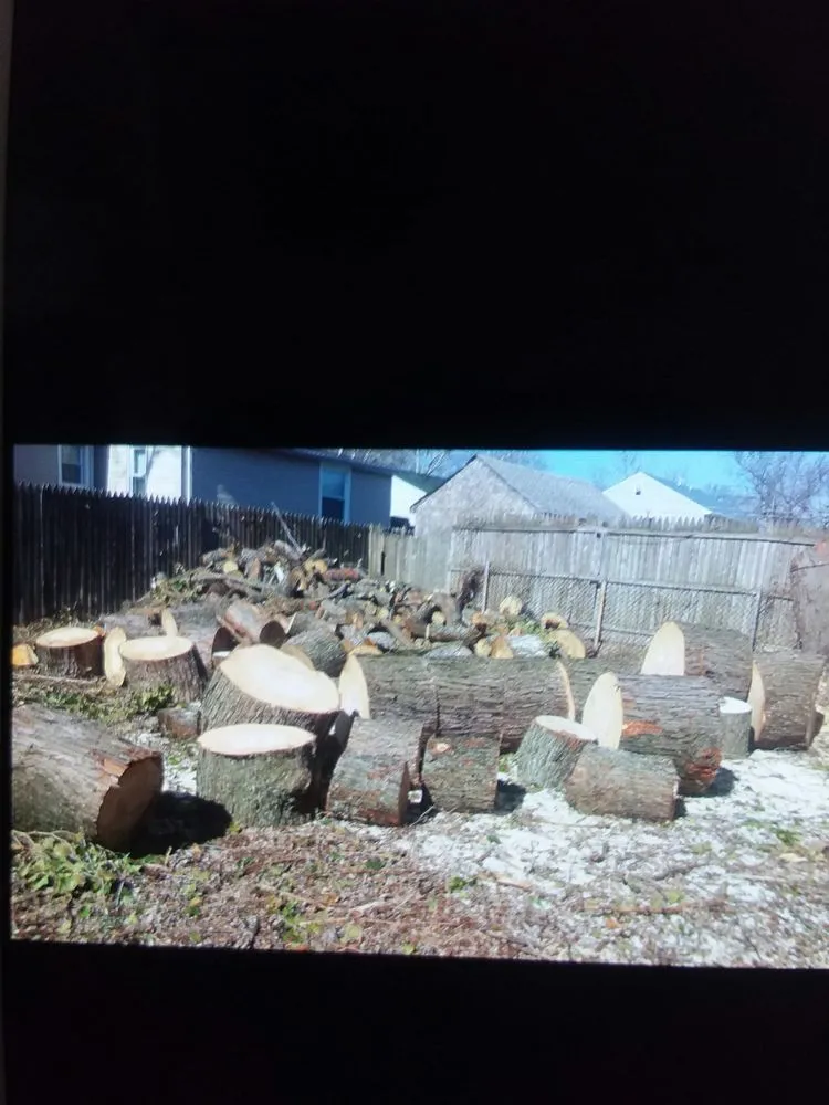 Reliable lawn care service for beautiful yards across Hackettstown, NJ - Danny International Tree Service