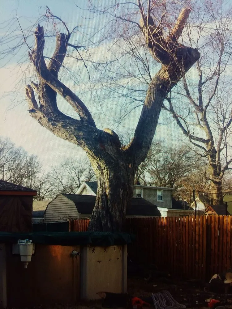 Trusted landscaping services for beautiful yards across Hackettstown, NJ - Danny International Tree Service