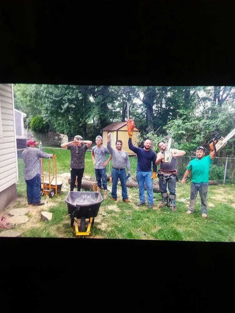 Top-rated yard cleanup service in Hackettstown, NJ - Danny International Tree Service