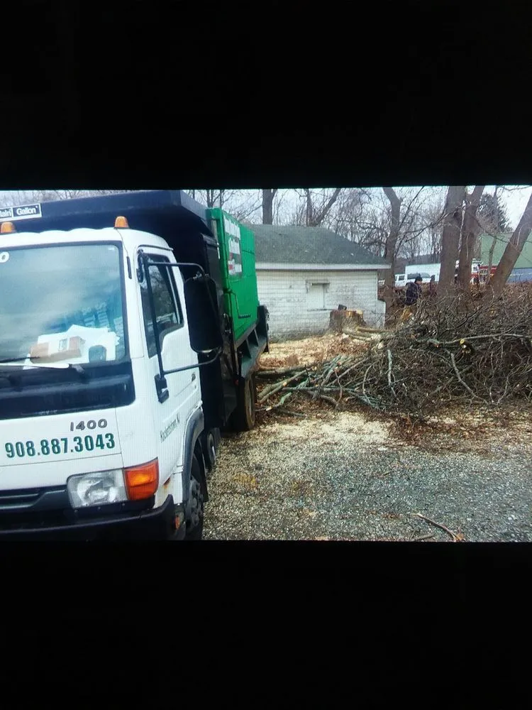 Expert outdoor landscaping experts serving Hackettstown, NJ - Danny International Tree Service