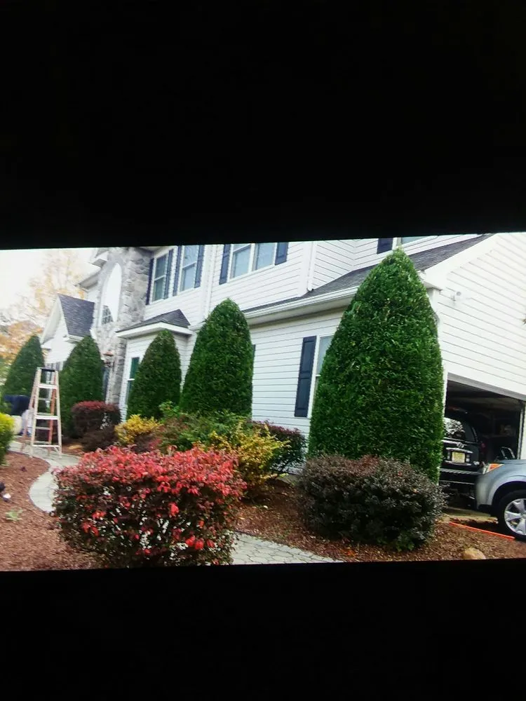 Trusted landscape design in Hackettstown, NJ - Danny International Tree Service