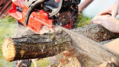 Reliable yard maintenance in Hackettstown, NJ by Danny International Tree Service