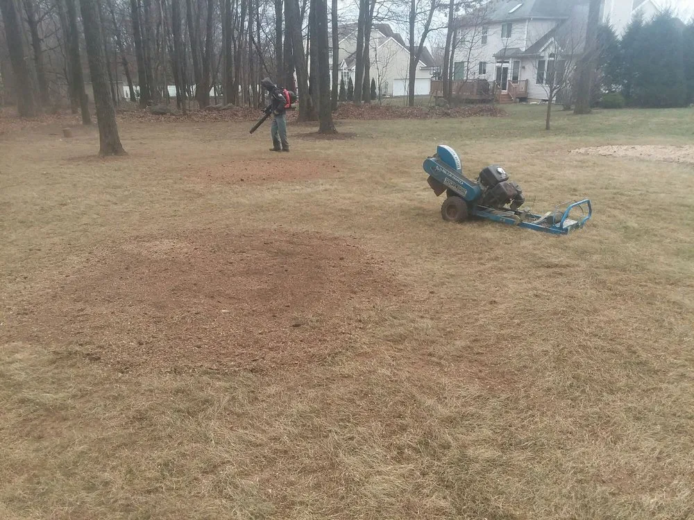 Top-rated outdoor landscaping in Hackettstown, NJ by Danny International Tree Service