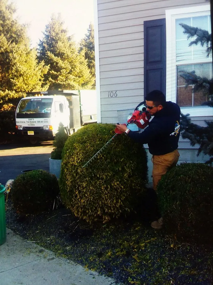 Top-rated yard cleanup service in Hackettstown, NJ - Danny International Tree Service