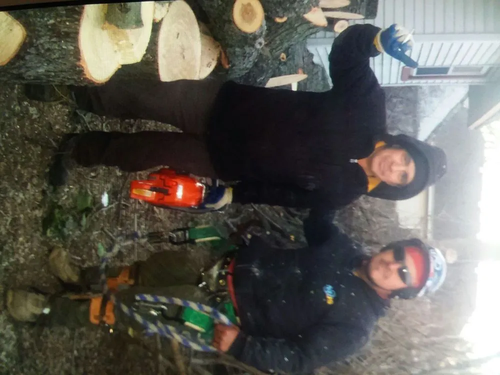 Affordable residential landscaping in Hackettstown, NJ by Danny International Tree Service