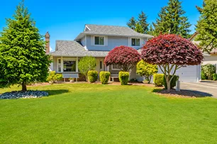 Expert yard cleanup service for outdoor upgrades across Hackettstown, NJ - Danny International Tree Service