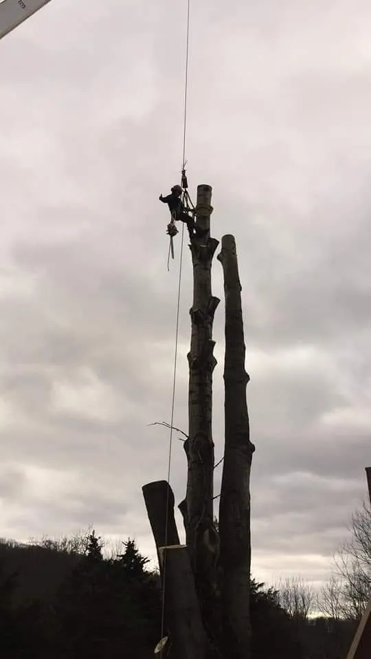 Custom garden landscaping with custom design in Hackettstown, NJ by Danny International Tree Service