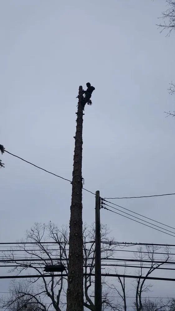 Trusted outdoor landscaping for homes across Hackettstown, NJ - Danny International Tree Service