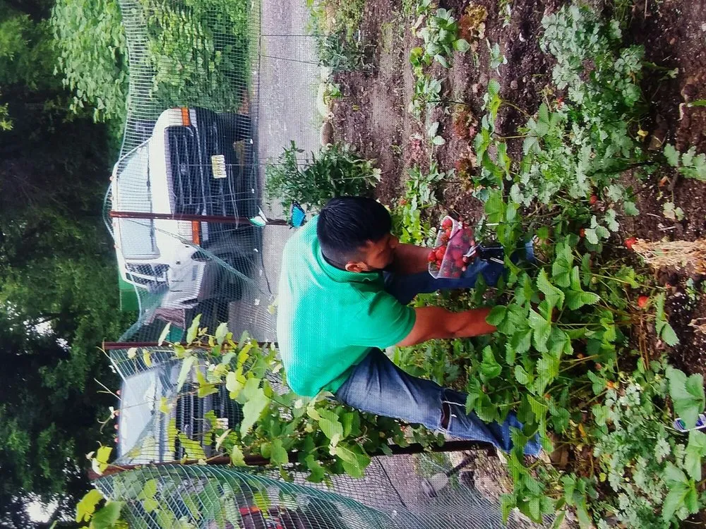 Custom landscape design in Hackettstown, NJ by Danny International Tree Service