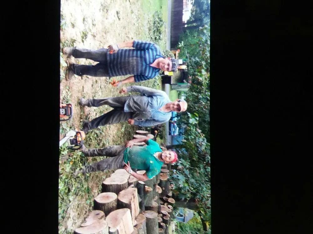 Reliable landscape installation for year-round maintenance in Hackettstown, NJ by Danny International Tree Service