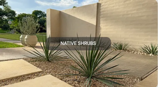 Expert landscape design in Austin, TX - Danny J Pressure Washing and Landscaping