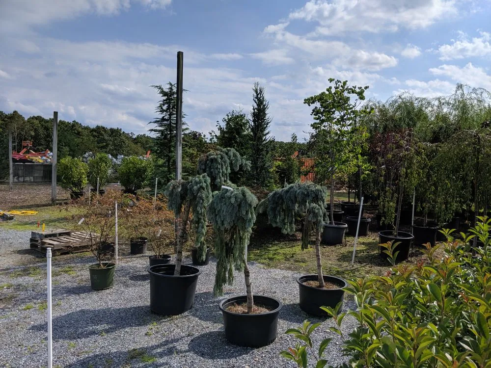 Custom yard cleanup service in Sicklerville, NJ - Danny Jr’s. Garden Center & Stone Yard