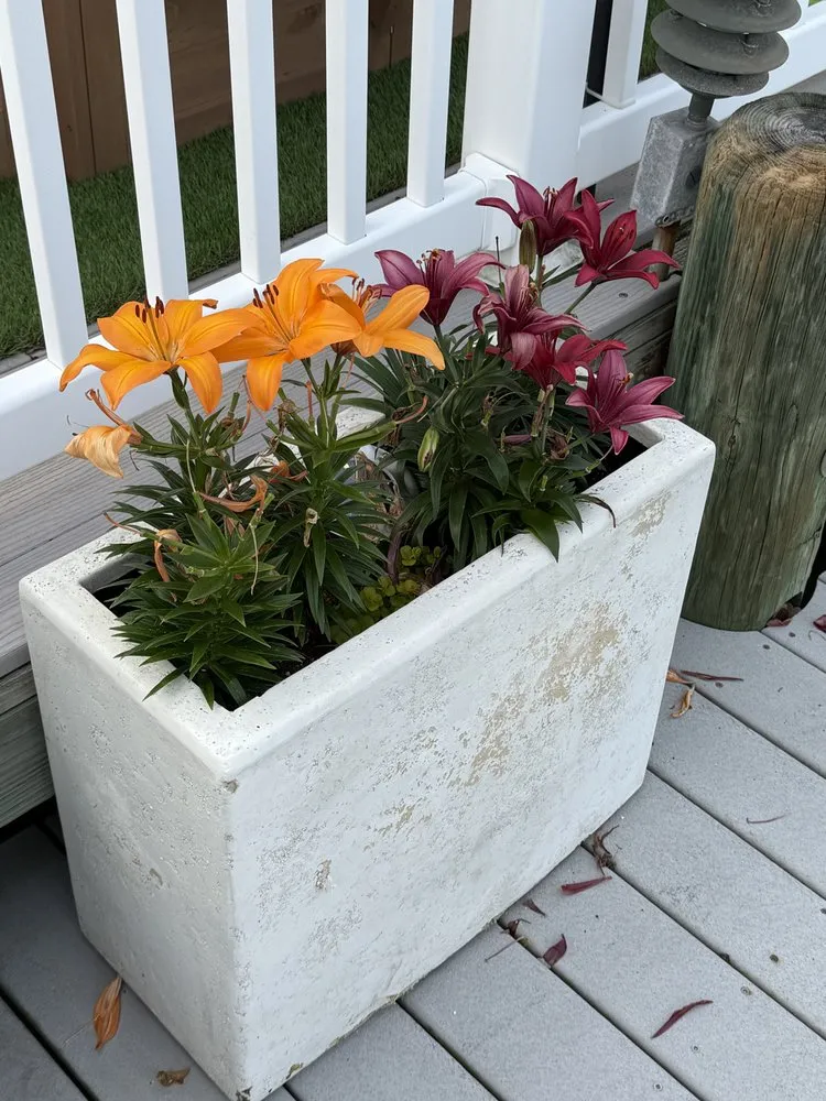 Expert lawn mowing service in Manahawkin, NJ by Danny K’s Home & Yard Services