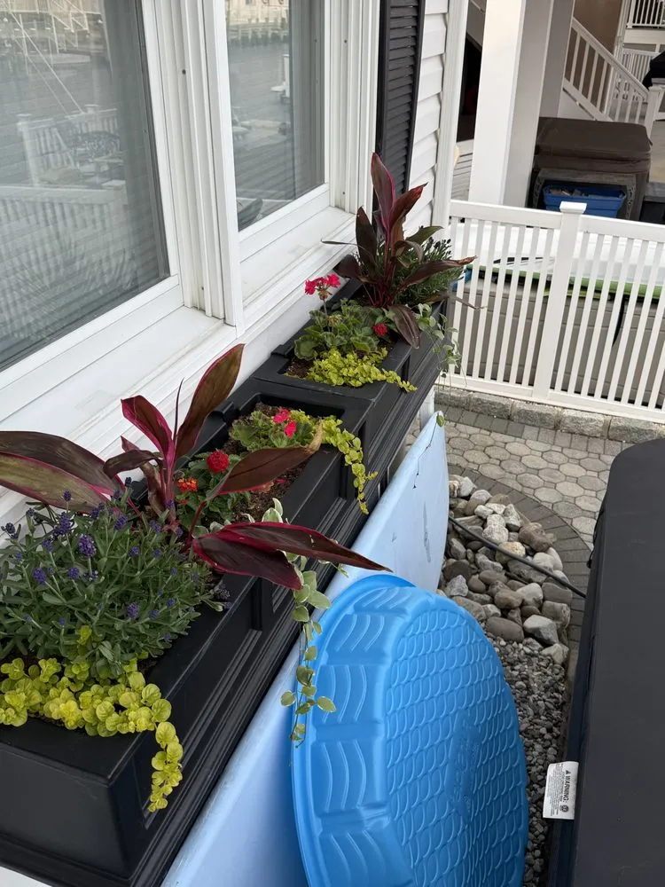 Custom yard cleanup service for year-round maintenance across Manahawkin, NJ - Danny K’s Home & Yard Services