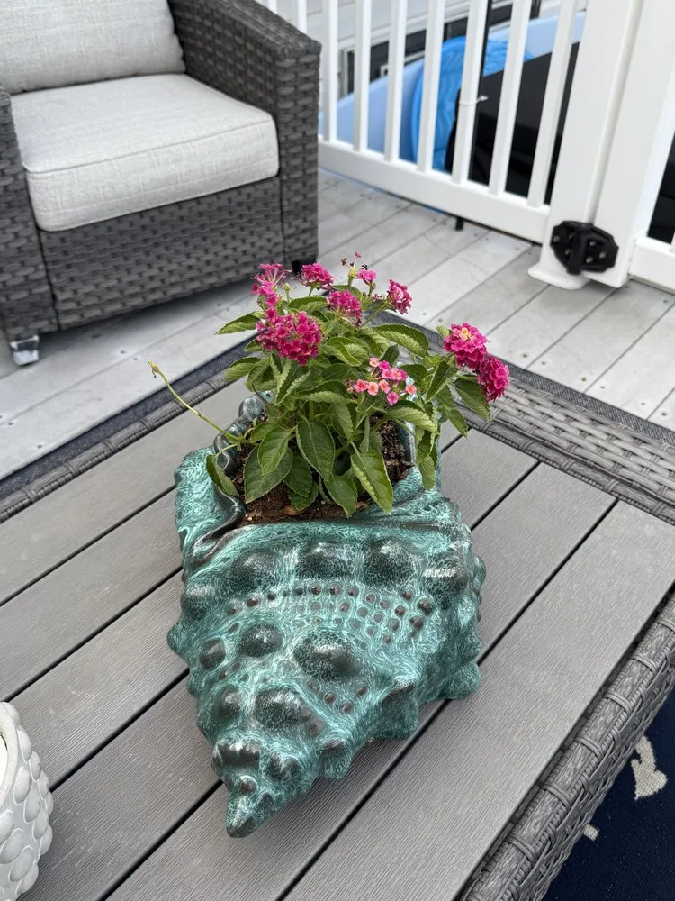 Top-rated yard cleanup service for beautiful yards in Manahawkin, NJ by Danny K’s Home & Yard Services