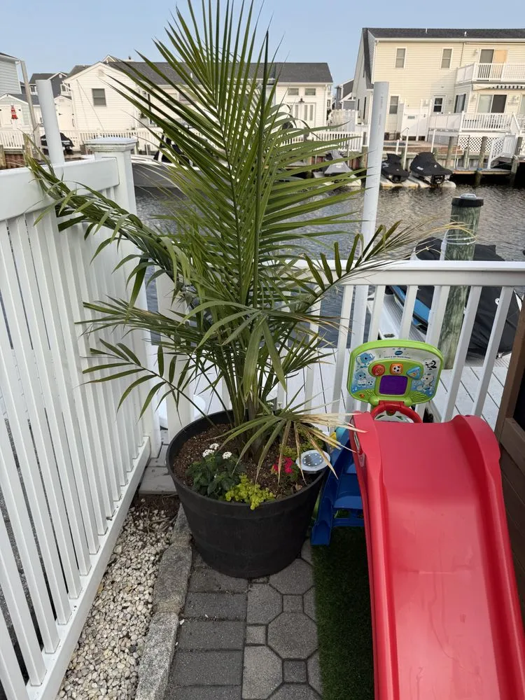 Trusted lawn care service with custom design in Manahawkin, NJ by Danny K’s Home & Yard Services