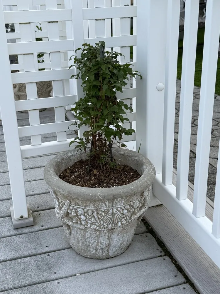 Expert lawn mowing service for year-round maintenance across Manahawkin, NJ - Danny K’s Home & Yard Services