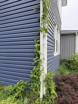 Danny K’s Home & Yard Services