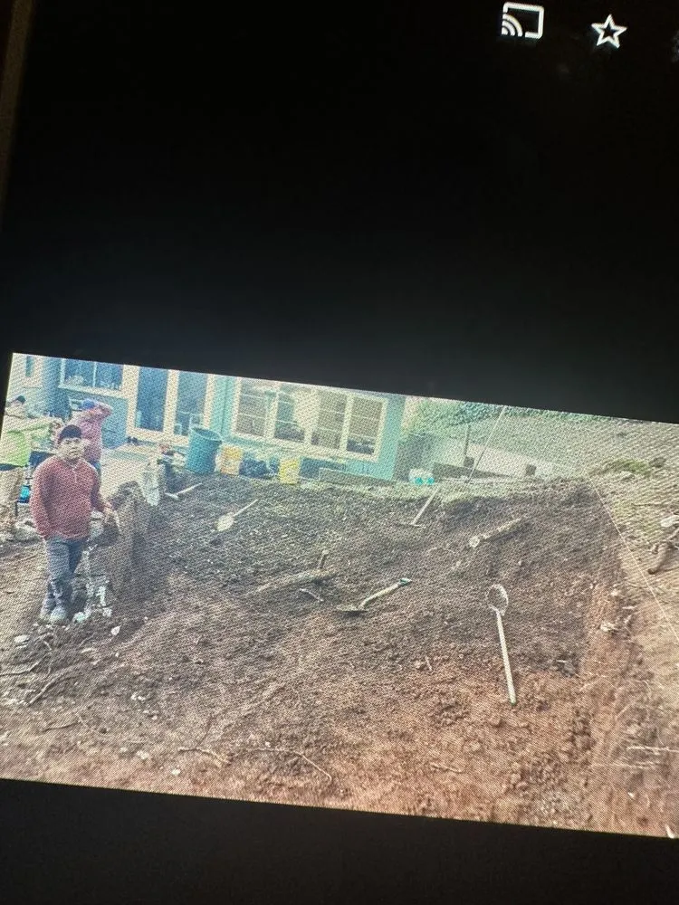 Local yard maintenance in Oakland, CA by Danny Landscape