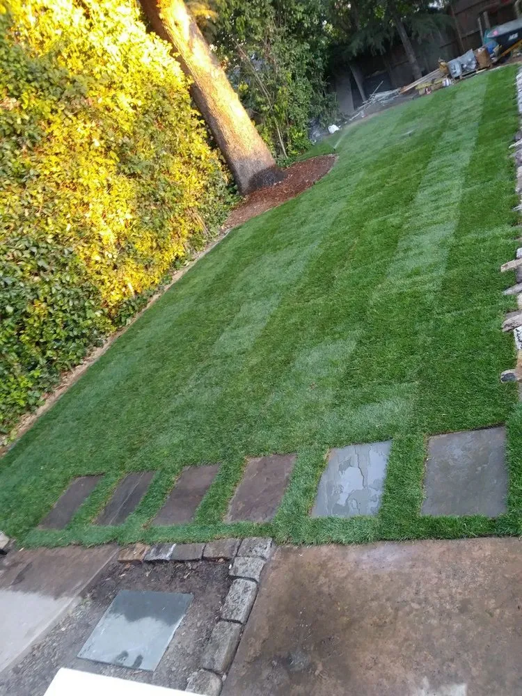 Custom yard cleanup service near you in Oakland, CA by Danny Landscape