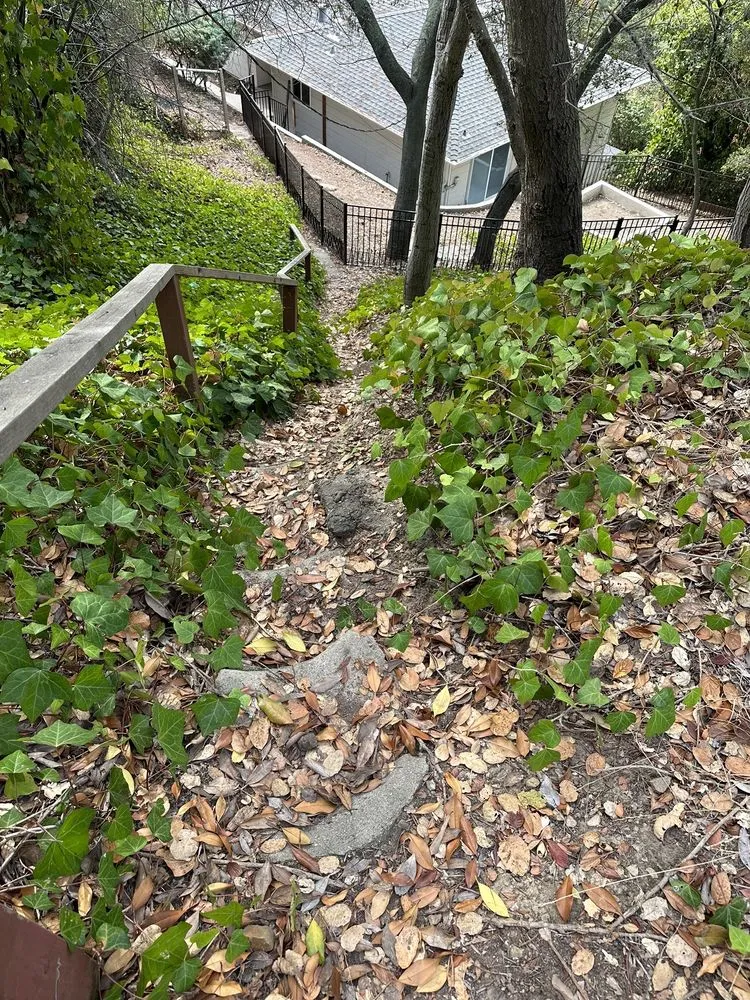 Trusted landscape design experts serving Oakland, CA - Danny Landscape