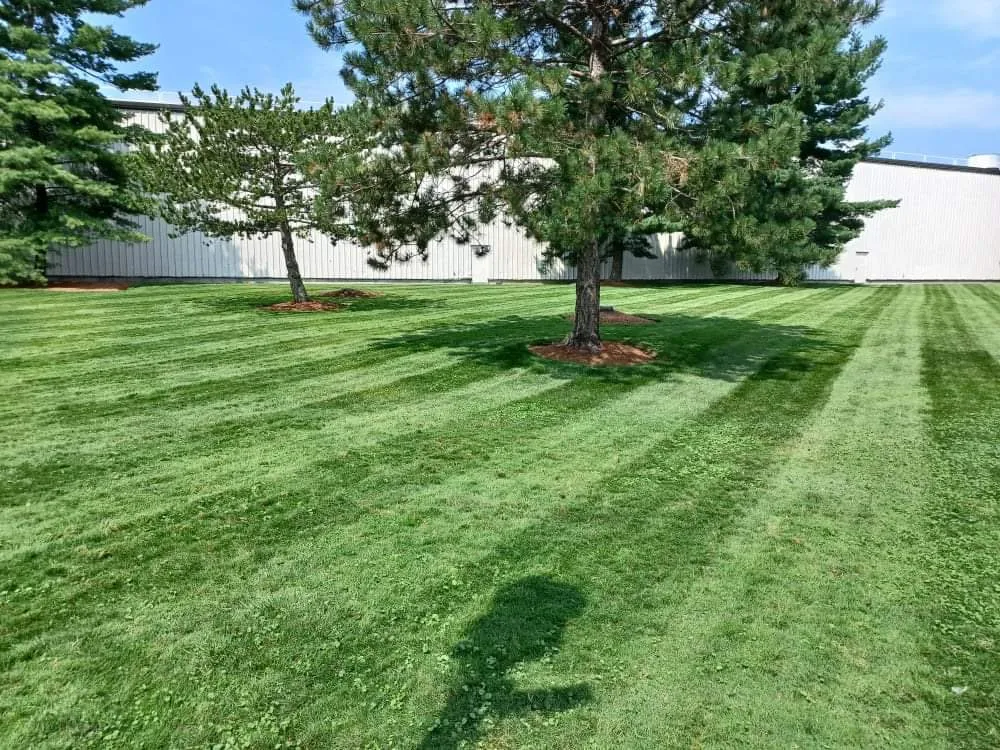 Affordable yard maintenance for beautiful yards in Lynn, MA by Danny Landscaping