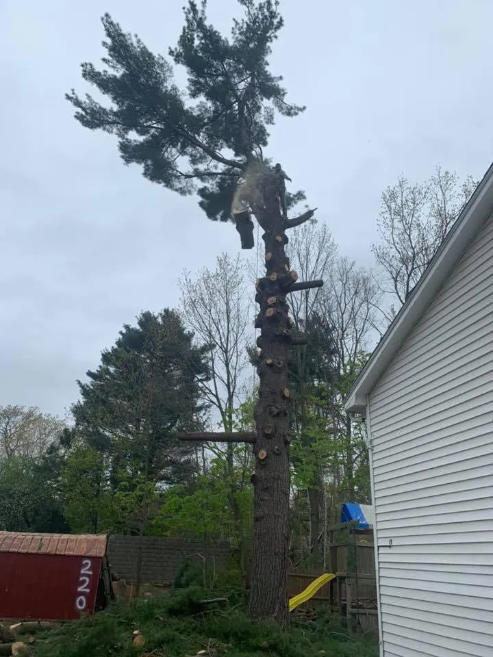 Custom landscape design for year-round maintenance in Lynn, MA by Danny Landscaping