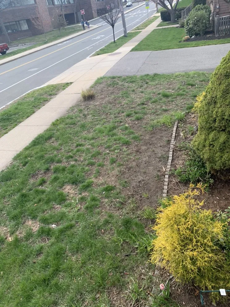 Local residential landscaping for residential properties across Lynn, MA - Danny Landscaping