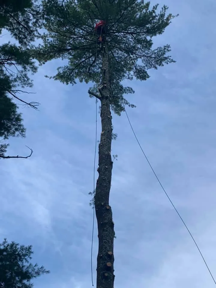 Reliable outdoor landscaping experts serving Lynn, MA - Danny Landscaping