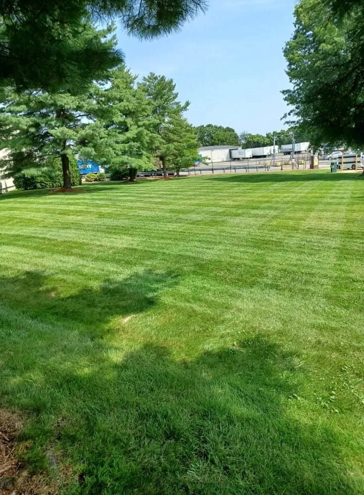 Top-rated landscape design in Lynn, MA by Danny Landscaping