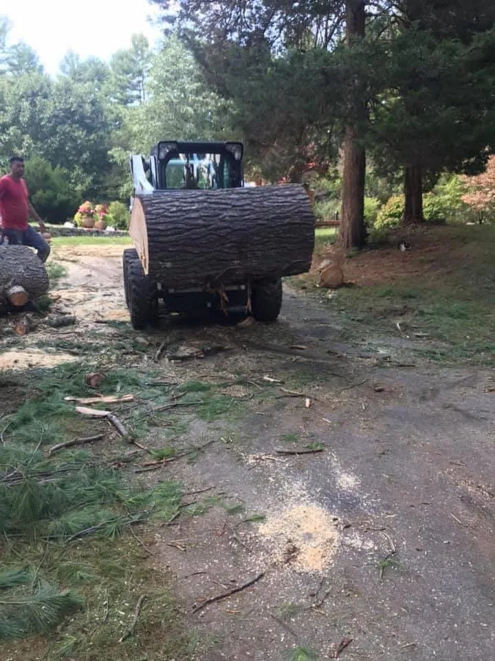 Local lawn mowing service experts serving Lynn, MA - Danny Landscaping