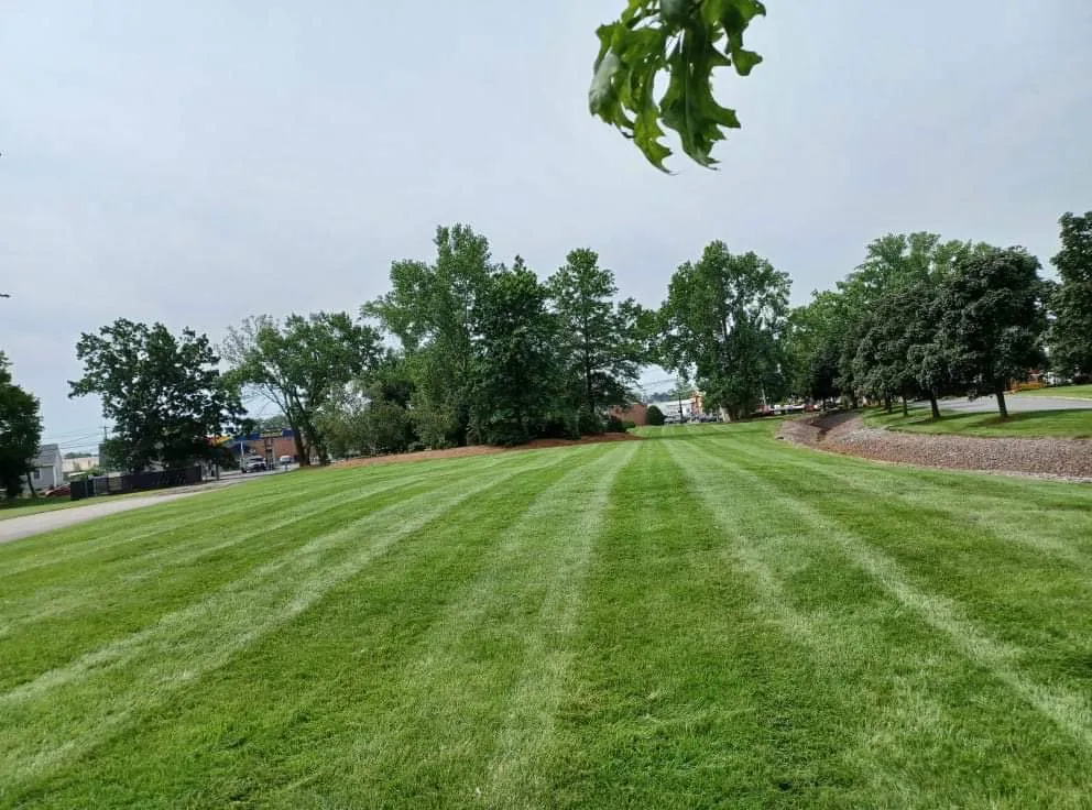 Custom lawn mowing service in Lynn, MA - Danny Landscaping