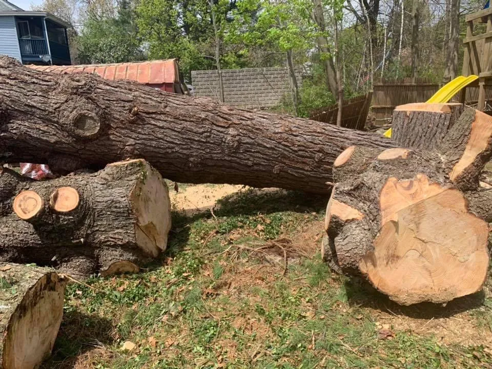 Trusted outdoor landscaping for residential properties across Lynn, MA - Danny Landscaping