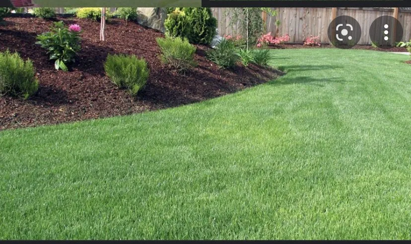 Top-rated lawn mowing service in Pasco, WA - Danny lawn care