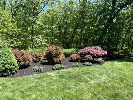 Danny O's Landscaping