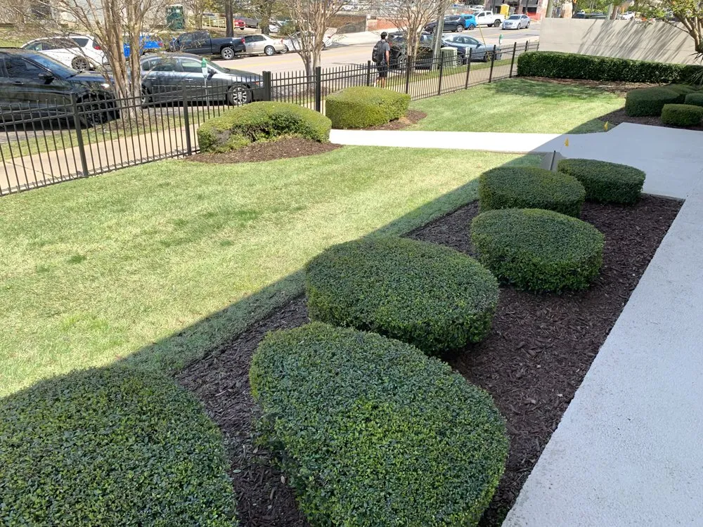 Affordable residential landscaping for year-round maintenance across Columbia, SC - Danny Schumpert