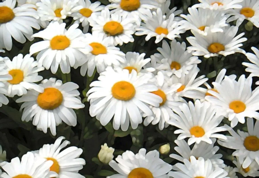 Top-rated residential landscaping experts serving Columbia, SC - Danny Schumpert