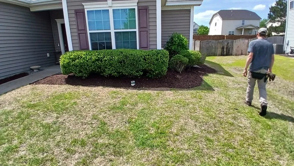 Expert garden landscaping experts serving Columbia, SC - Danny Schumpert