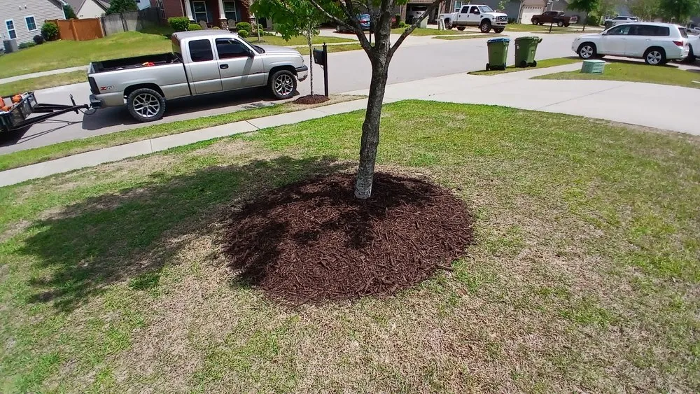 Top-rated lawn mowing service for outdoor upgrades across Columbia, SC - Danny Schumpert