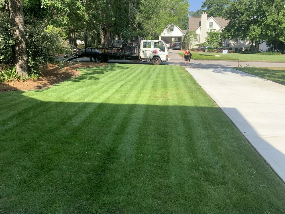 Expert lawn mowing service for year-round maintenance in Columbia, SC by Danny Schumpert