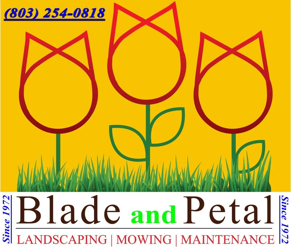 Affordable residential landscaping in Columbia, SC by Danny Schumpert