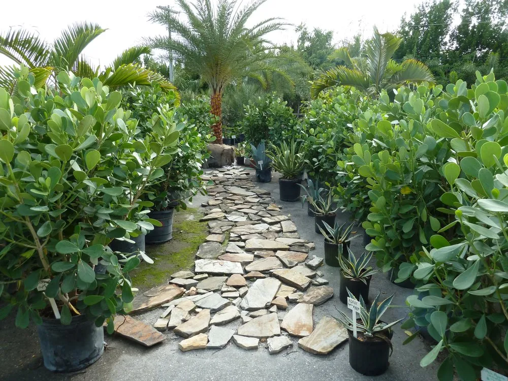 Trusted garden landscaping near you across Cape Coral, FL - Danny Yates Landscape Nursery