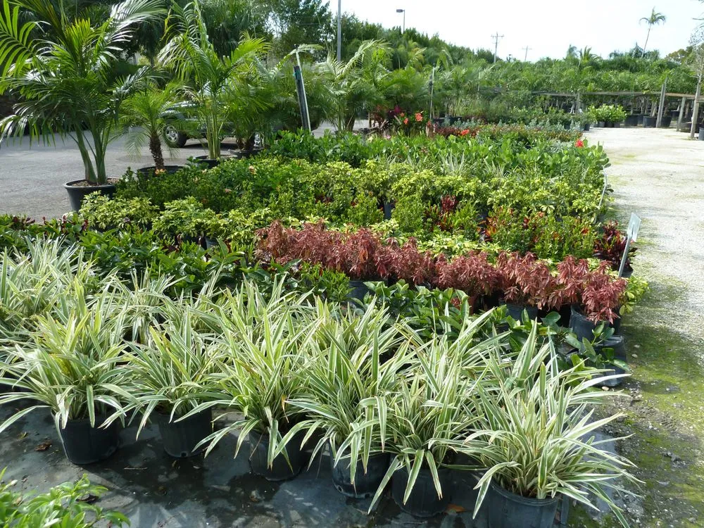 Trusted landscape design in Cape Coral, FL by Danny Yates Landscape Nursery