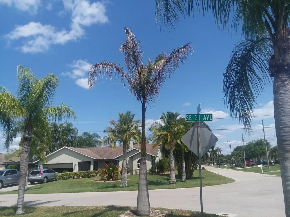 Reliable landscape design in Cape Coral, FL - Danny Yates Landscape Nursery